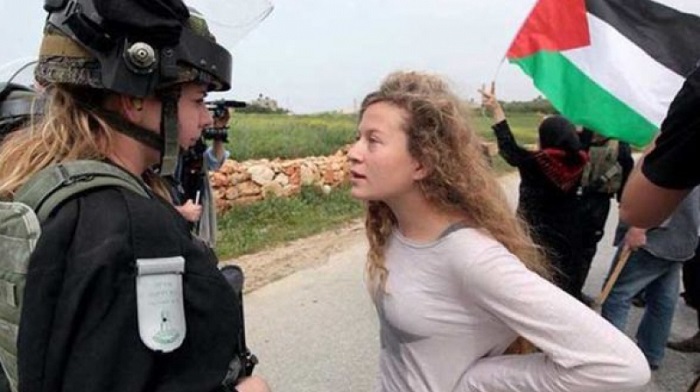 ahed_occupation